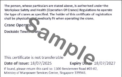 Sample CF card - back